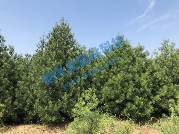 c(din)鿴Ԕ(x)Ϣ(bio)}Ƥ xΔ(sh)2149