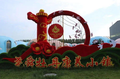 初心印薊 產(chǎn)業(yè)興鎮(zhèn)——楊津莊鎮(zhèn)以牡丹花產(chǎn)品深加工做強(qiáng)特色農(nóng)產(chǎn)品及康養(yǎng)休閑產(chǎn)業(yè)