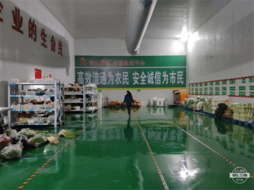 強(qiáng)化物流基礎(chǔ)設(shè)施，武威助力農(nóng)特產(chǎn)品銷售出實(shí)招——農(nóng)業(yè)企業(yè)托管服務(wù)創(chuàng)新模式
