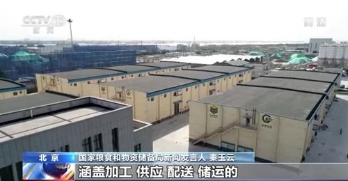 我國糧食市場供應充足且抗外部波動，農業企業托管服務助力產業穩定發展