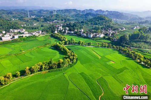 綠意盎然黔西夏，基建賦能田園興