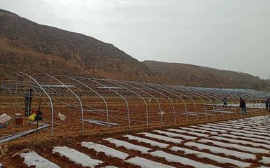 洛門鎮 鋼架大棚建設“加速度”搭起群眾“致富路”，農業企業托管服務顯成效