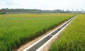 國家新政策 全國種地農民3個月內可領3072元，助力農業基礎設施升級
