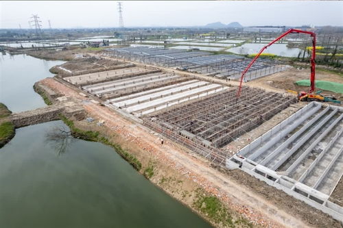 農業項目建設掀熱潮，企業托管服務助振興